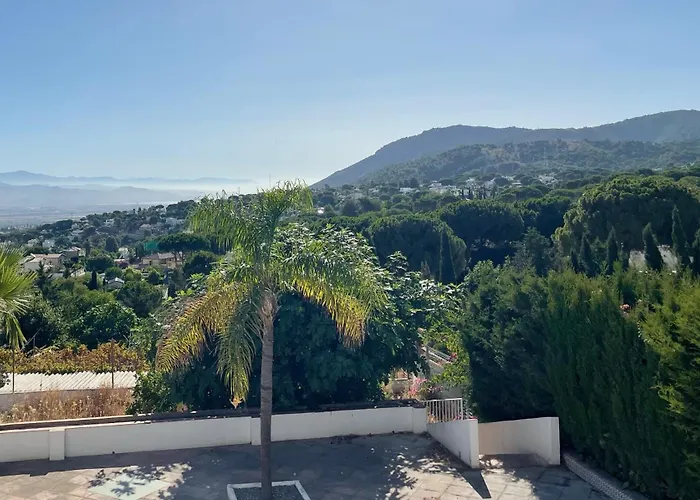 Solea Alhaurín de la Torre